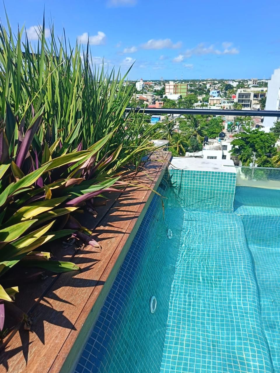 Pool with city views