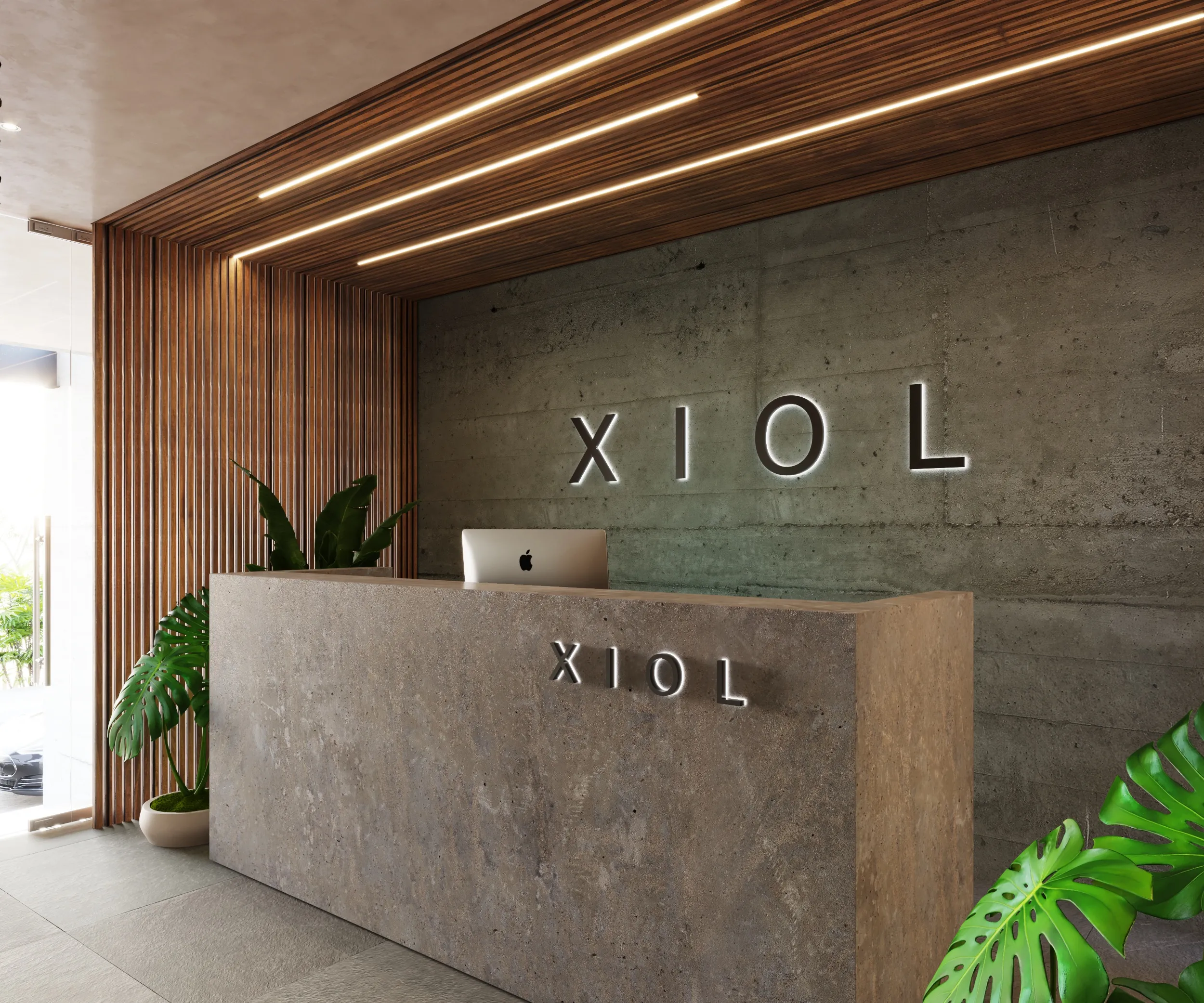 Why XIOL’s Location in Playa del Carmen Supports Long-Term Value